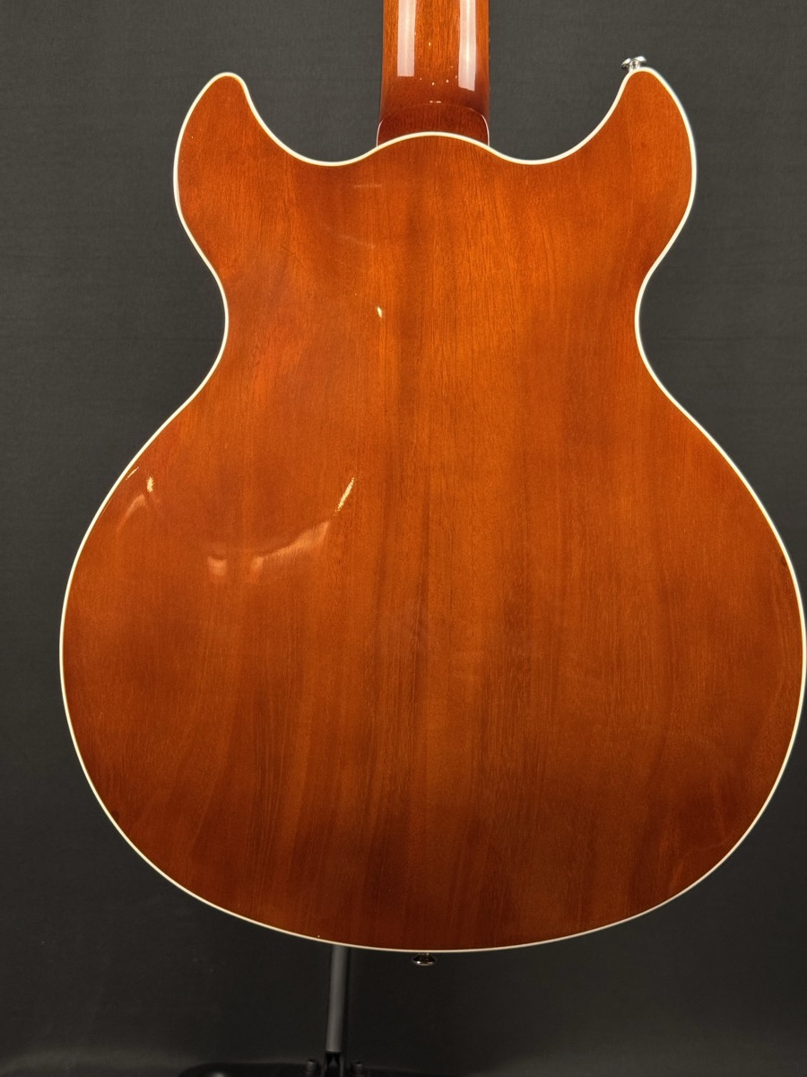 Harmony Harmony Comet Semi-Hollow Guitar, Sunburst, Mono Bag - Guitars
