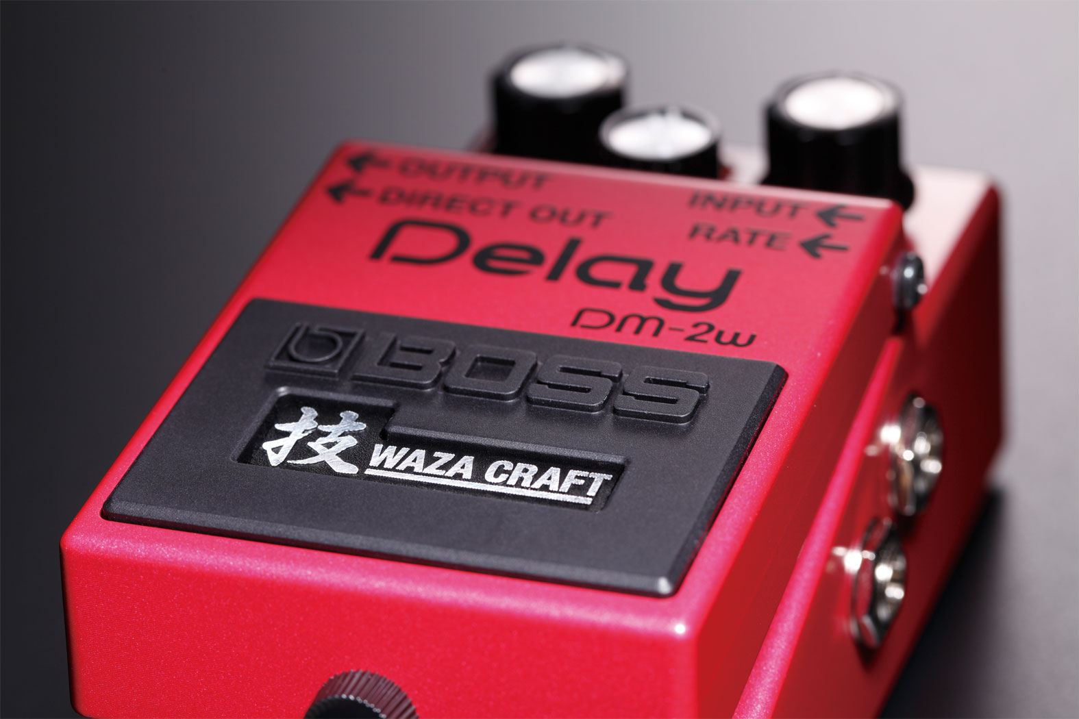 BOSS BOSS DM-2W Waza Craft Delay Pedal - Effects