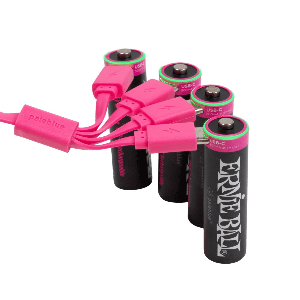 Ernie Ball Ernie Ball USB-C Rechargeable AA Battery by Paleblue (4 Pack) - Misc