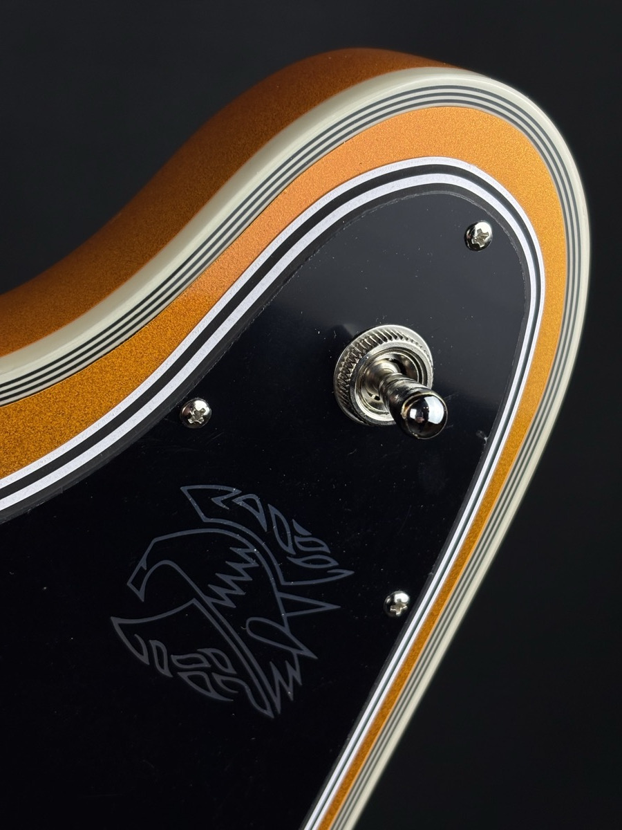 Epiphone Epiphone Firebird Custom Futura, Firestorm Shift - Guitars