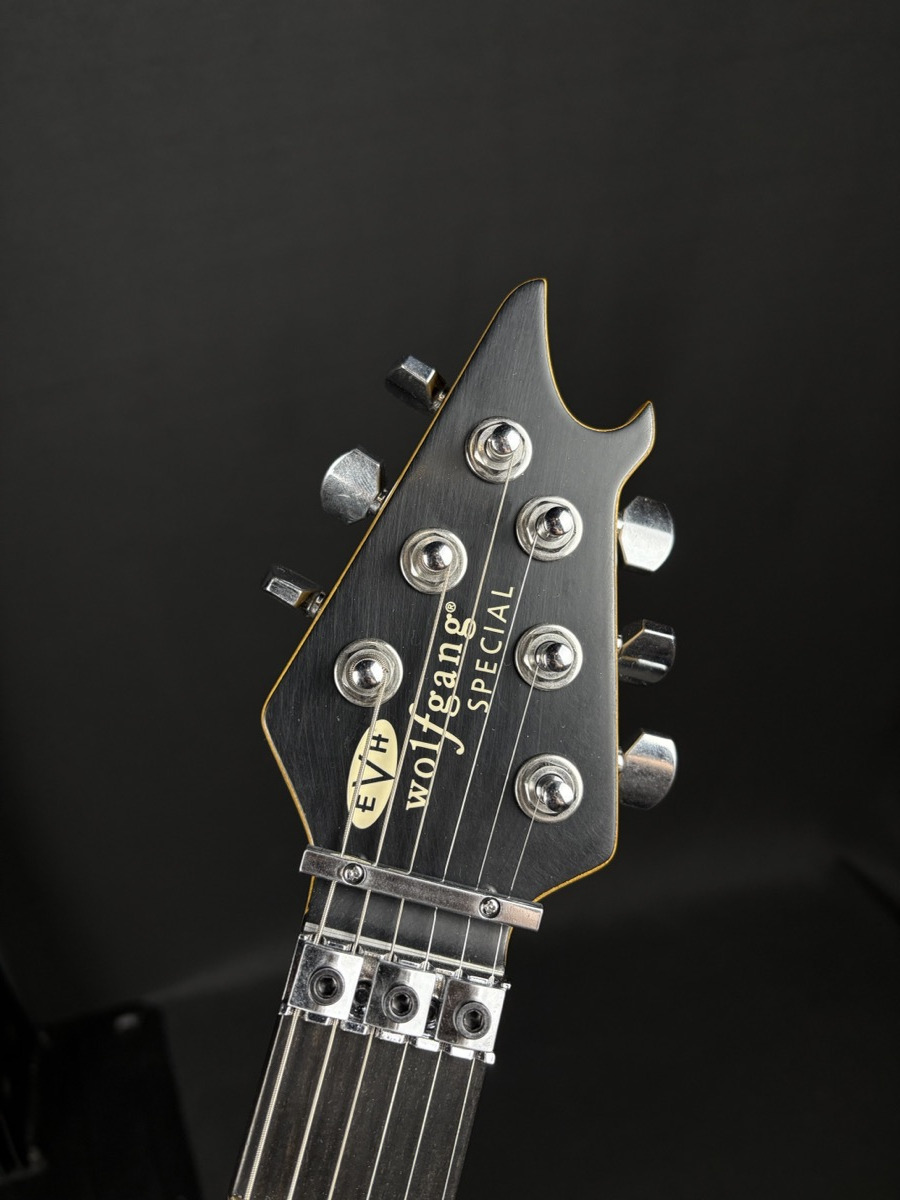 EVH EVH Limited Edition Wolfgang Striped Series Aged, Red With Black Stripes - Guitars