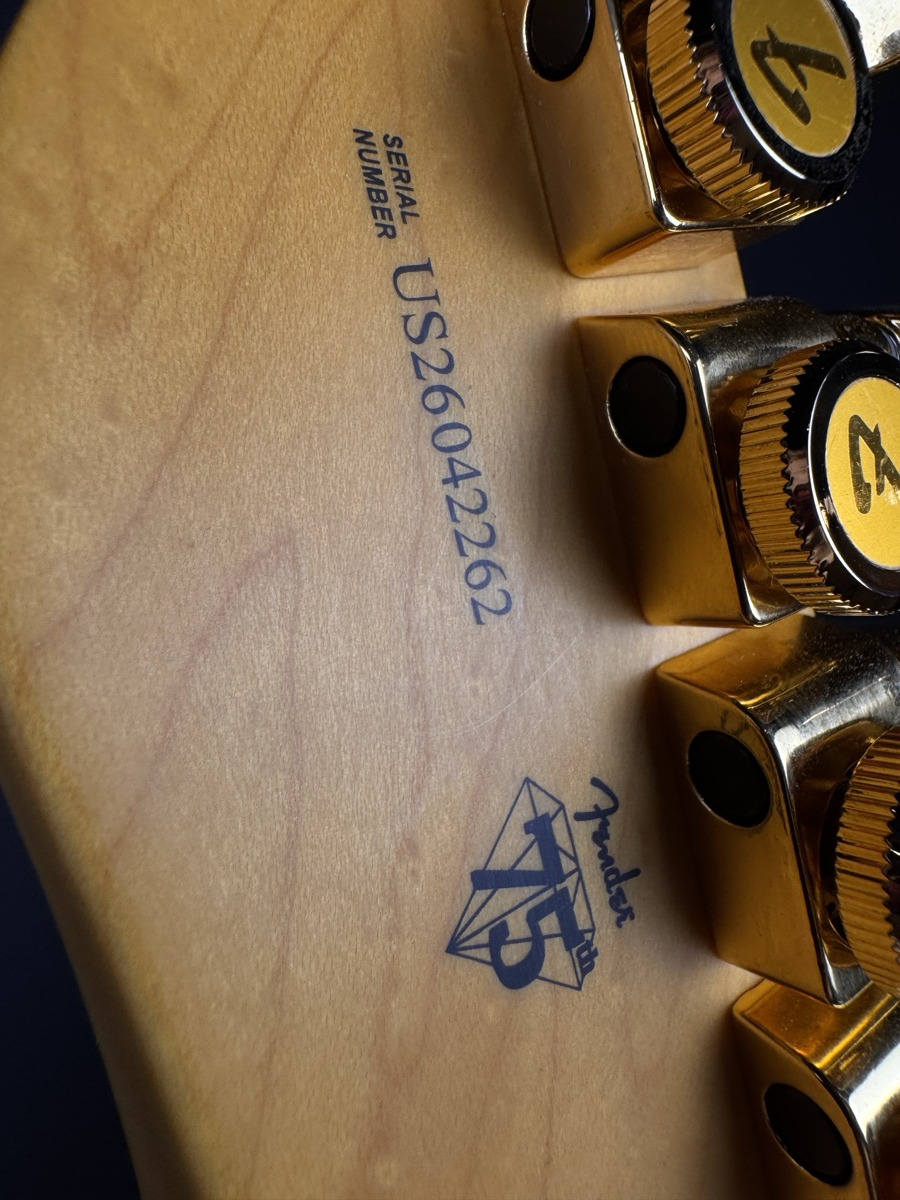 Fender Fender 75th Anniversary American Professional Custom Telecaster 2 Colour Burst - Guitars