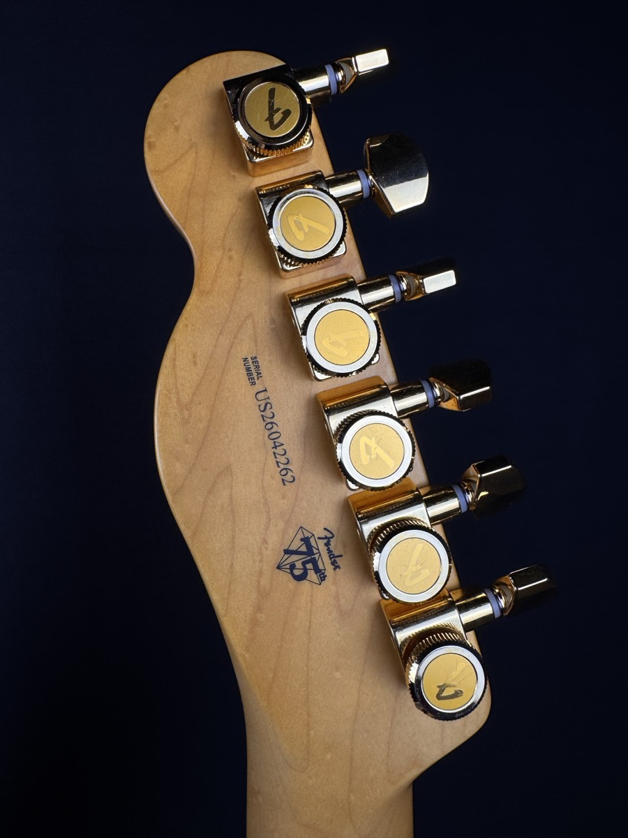 Fender Fender 75th Anniversary American Professional Custom Telecaster 2 Colour Burst - Guitars