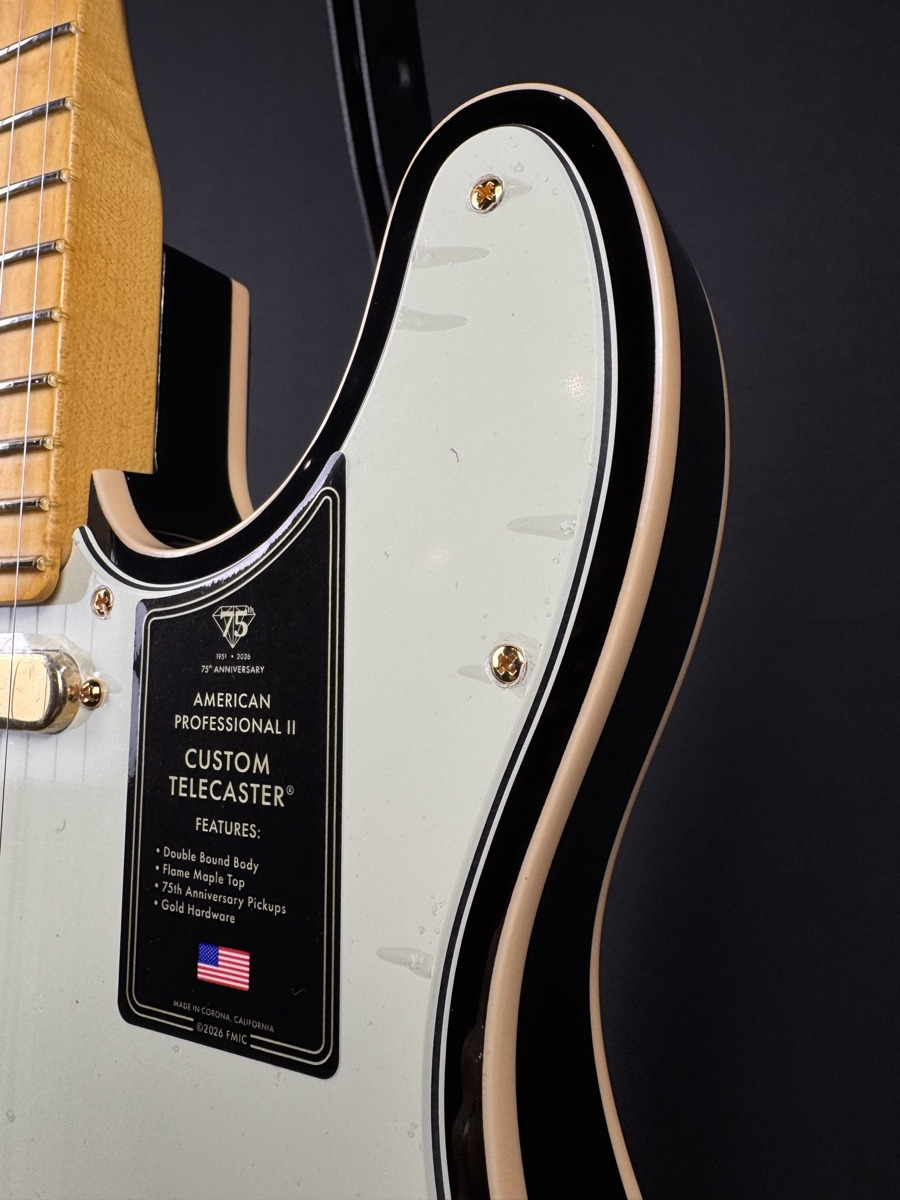 Fender Fender 75th Anniversary American Professional Custom Telecaster 2 Colour Burst - Guitars