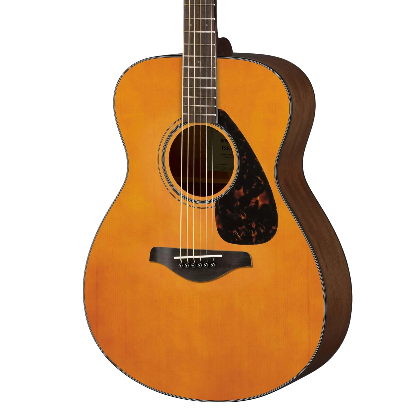 Yamaha Yamaha FS800T J Solid Spuce Top In Natural Tinted Finish - Guitars