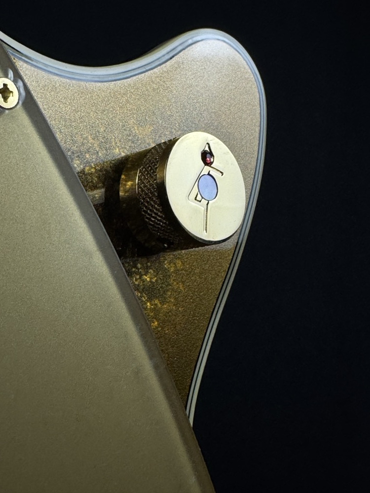 Gretsch Gretsch G6134TG Limited Edition Paisley Penguin - Gold Paisley - Guitars