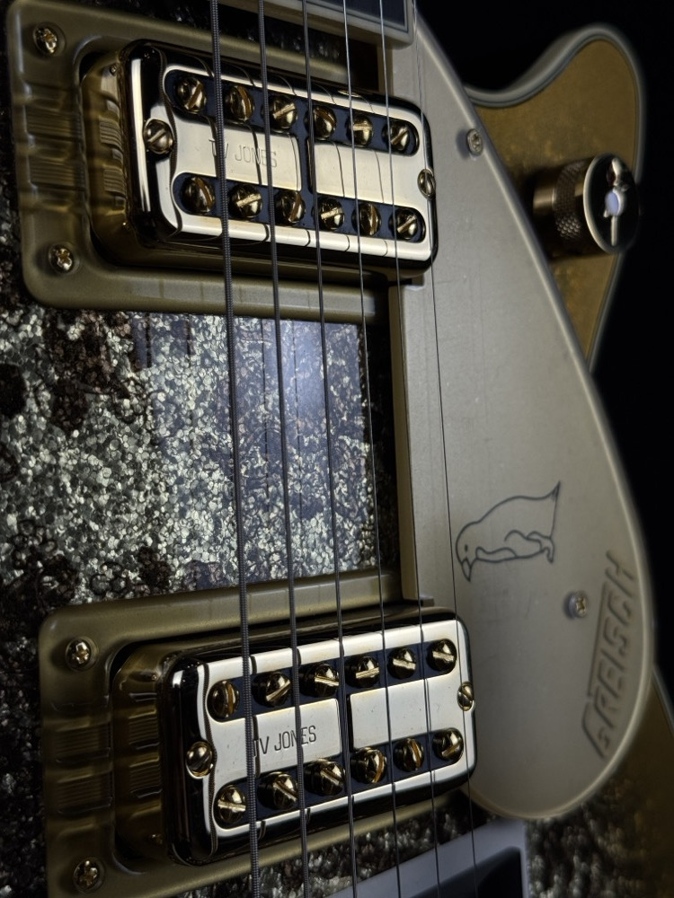 Gretsch Gretsch G6134TG Limited Edition Paisley Penguin - Gold Paisley - Guitars