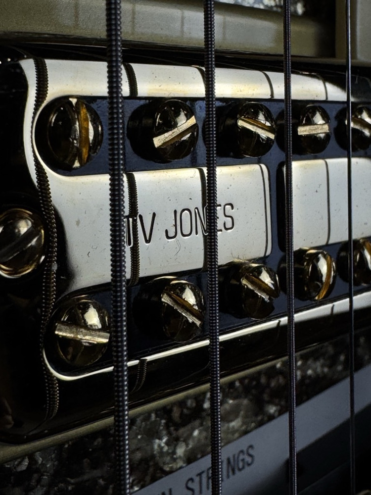 Gretsch Gretsch G6134TG Limited Edition Paisley Penguin - Gold Paisley - Guitars