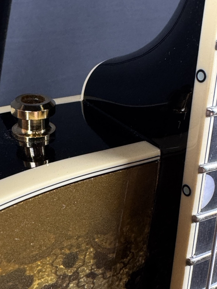 Gretsch Gretsch G6134TG Limited Edition Paisley Penguin - Gold Paisley - Guitars