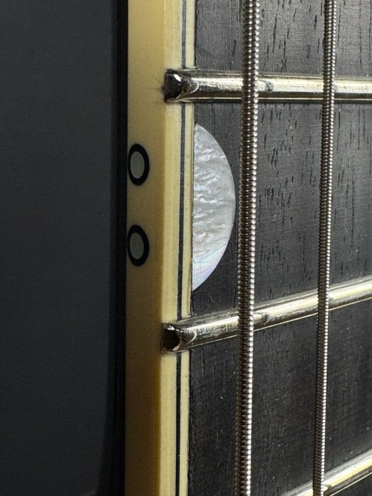 Gretsch Gretsch G6134TG Limited Edition Paisley Penguin - Gold Paisley - Guitars