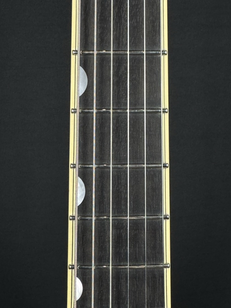 Gretsch Gretsch G6134TG Limited Edition Paisley Penguin - Gold Paisley - Guitars