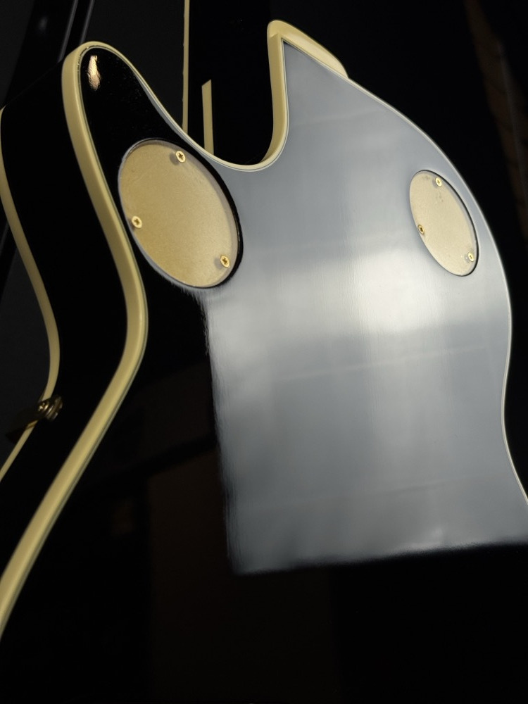 Gretsch Gretsch G6134TG Limited Edition Paisley Penguin - Gold Paisley - Guitars