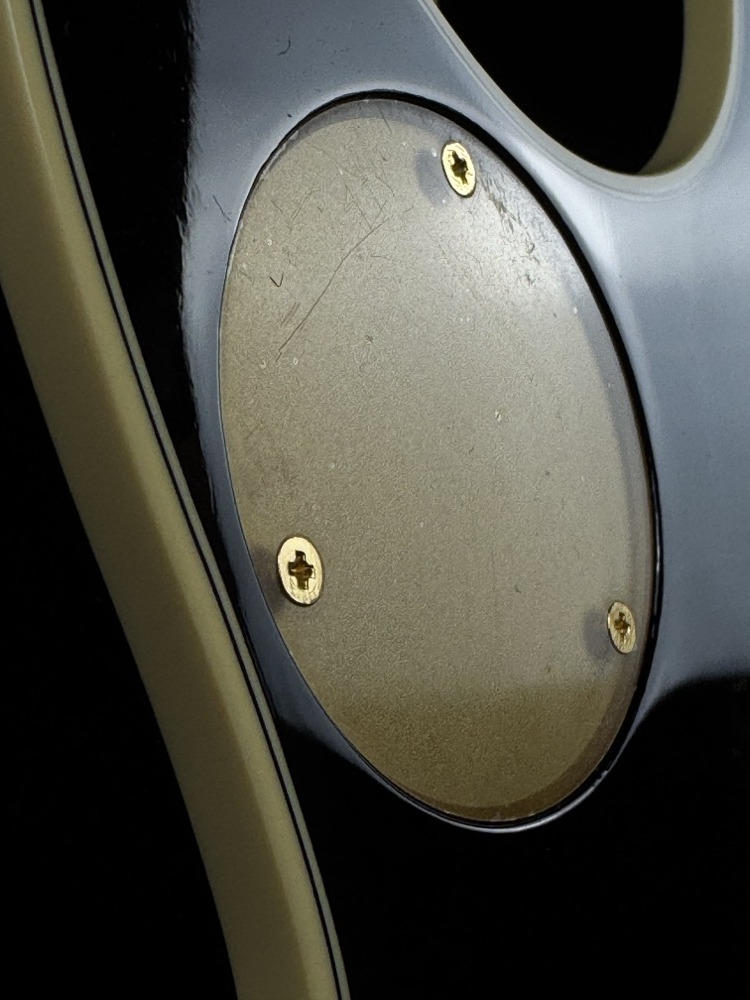 Gretsch Gretsch G6134TG Limited Edition Paisley Penguin - Gold Paisley - Guitars