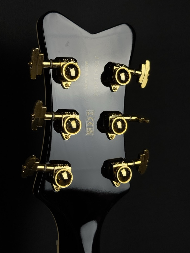 Gretsch Gretsch G6134TG Limited Edition Paisley Penguin - Gold Paisley - Guitars