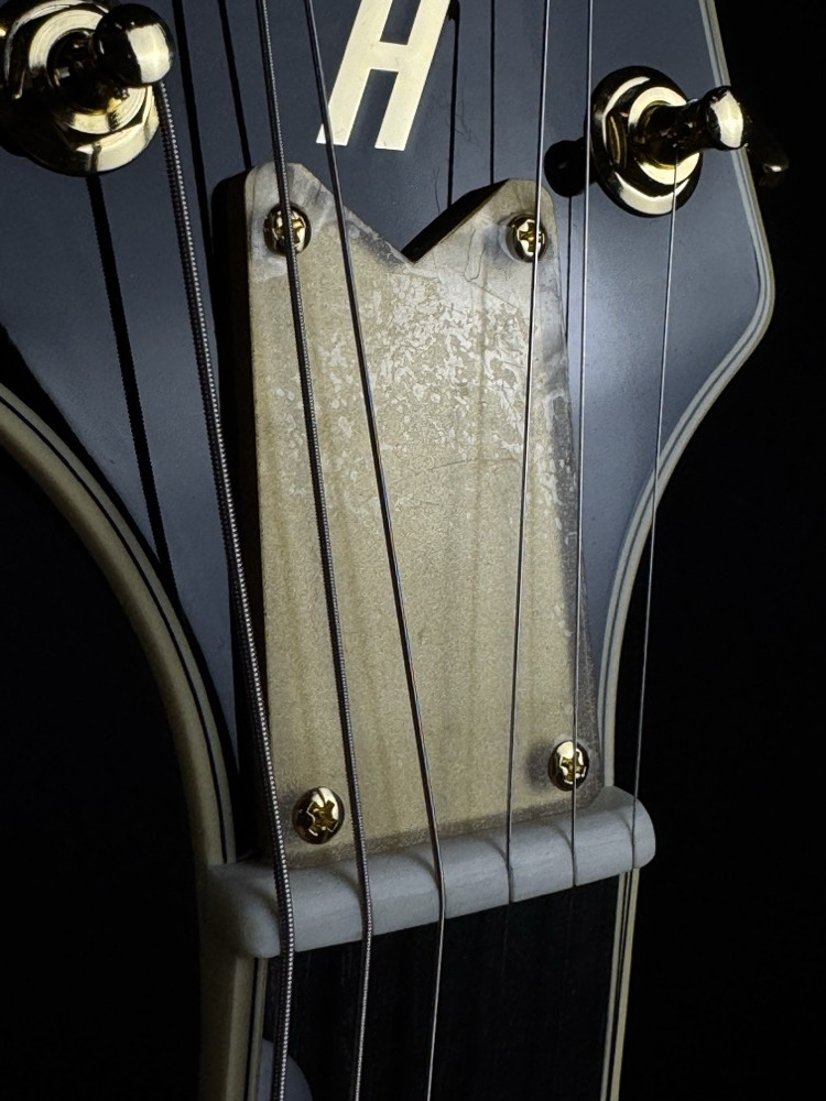 Gretsch Gretsch G6134TG Limited Edition Paisley Penguin - Gold Paisley - Guitars