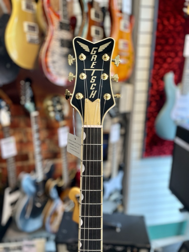 Gretsch Gretsch G6134TG Limited Edition Paisley Penguin - Gold Paisley - Guitars