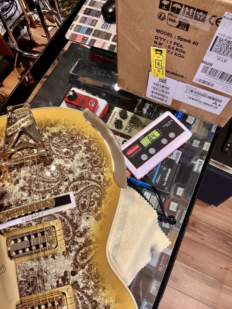 Gretsch Gretsch G6134TG Limited Edition Paisley Penguin - Gold Paisley - Guitars