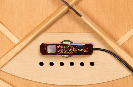 LR Baggs LR Baggs Tru-Mic and Discrete Preamp Under Brige Active Pickup - Guitars