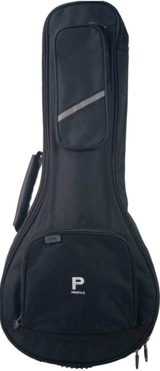 Misc Profile Mandolin Gig Bag - Cases
