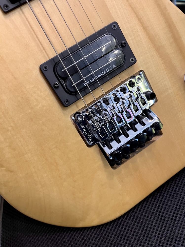 Washburn Washburn Nuno Bettencourt Signature Series N2-Nuno Natural Matte - Guitars