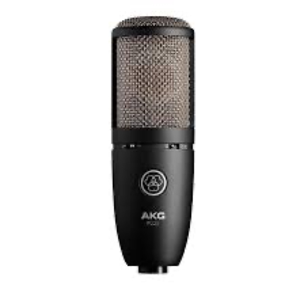 AKG AKG P220 Perception Studio Condenser Microphone - Recording