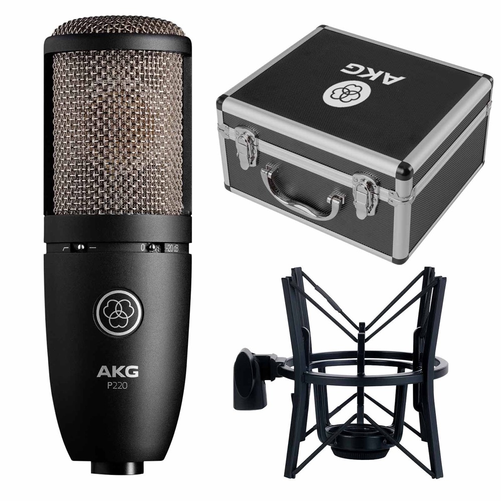 AKG AKG P220 Perception Studio Condenser Microphone - Recording