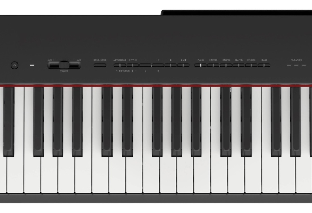 Yamaha Yamaha P-225 88 Key Fully Weighted Digital Piano In Black - Keyboards