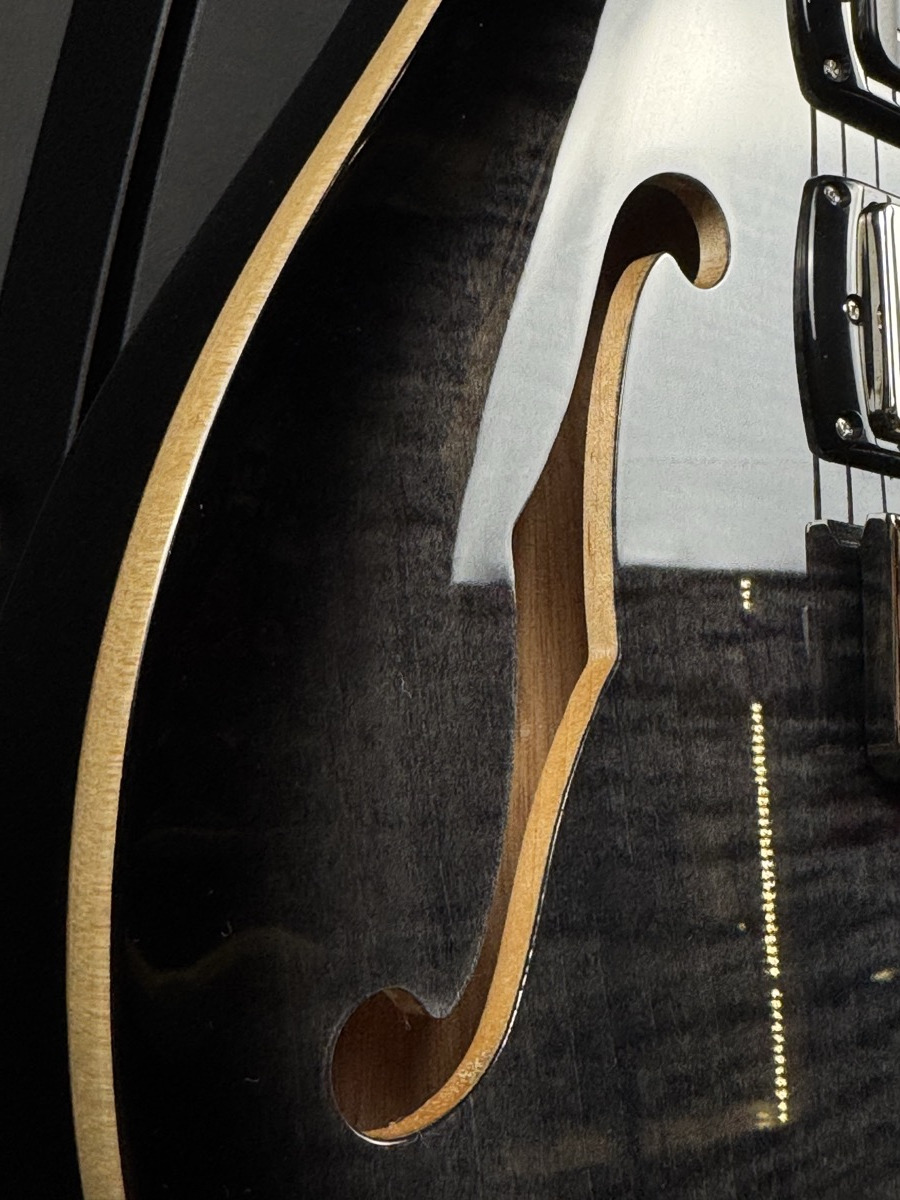 PRS PRS SE Special Semi-Hollow - Charcoal Burst, Rosewood, Gig Bag - Guitars