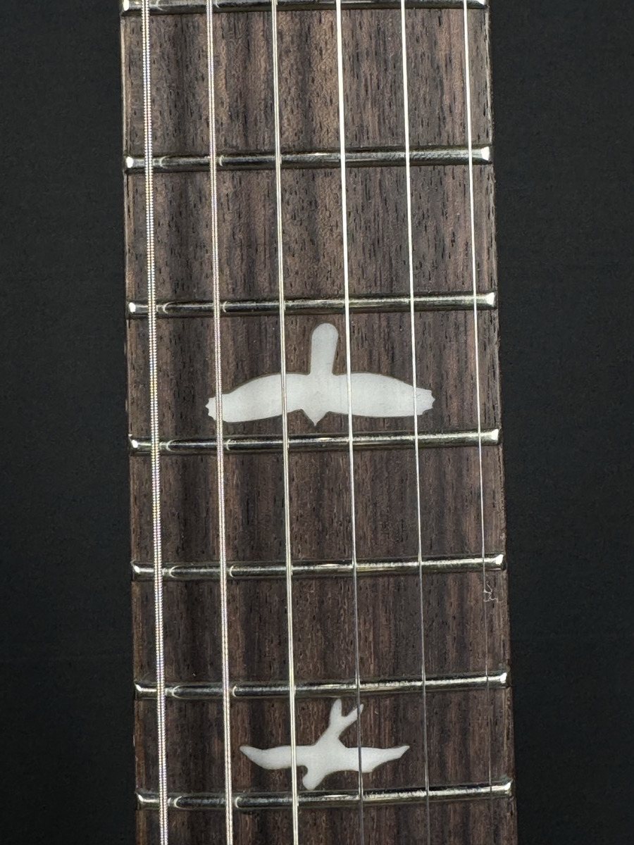 PRS PRS SE Special Semi-Hollow - Charcoal Burst, Rosewood, Gig Bag - Guitars