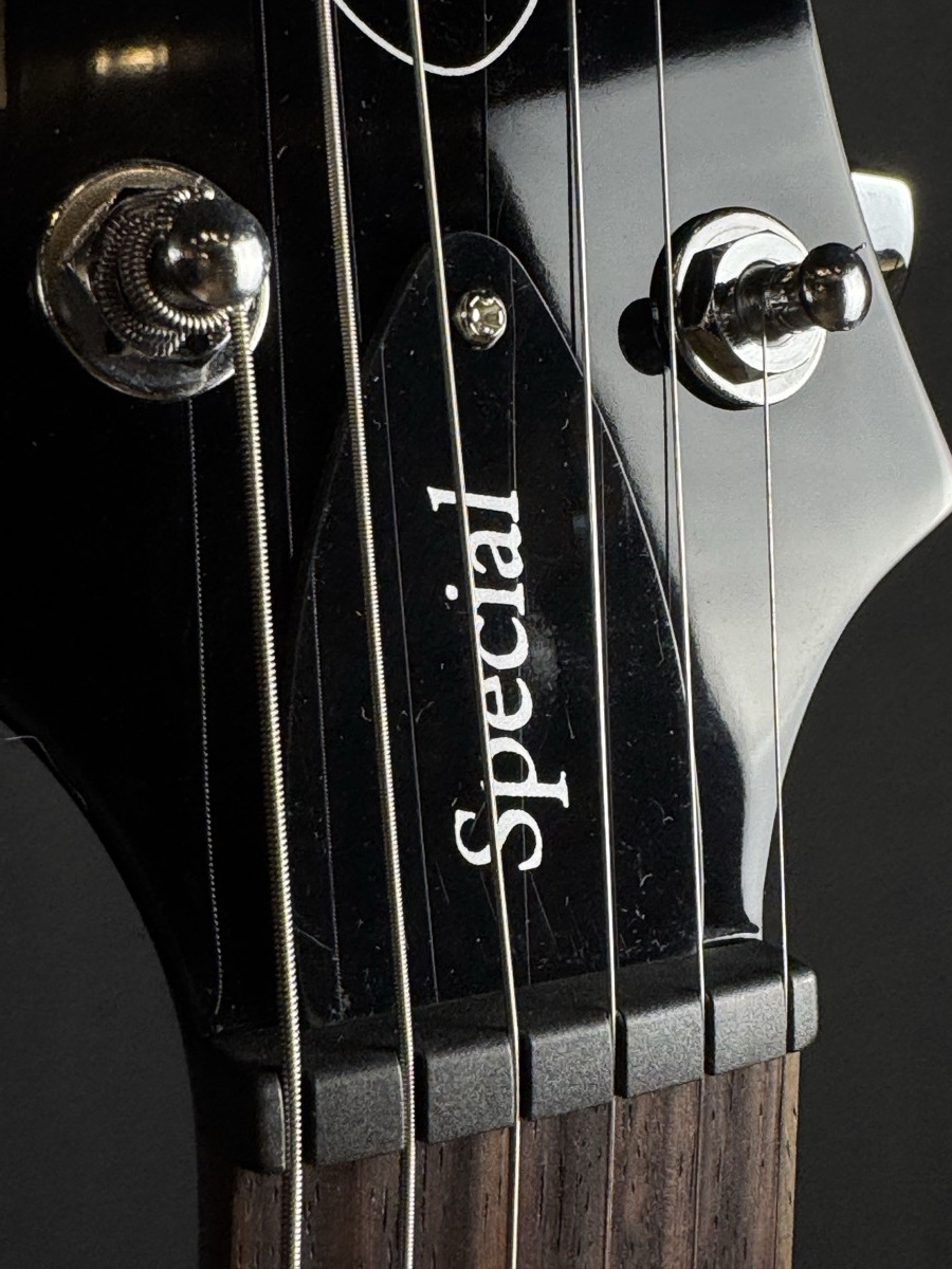 PRS PRS SE Special Semi-Hollow - Charcoal Burst, Rosewood, Gig Bag - Guitars