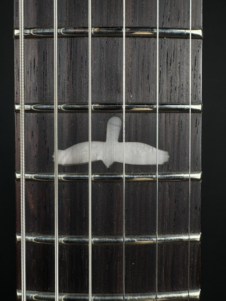 PRS PRS SE CE 24 - Slate Blue, Rosewood, Gig Bag - Guitars