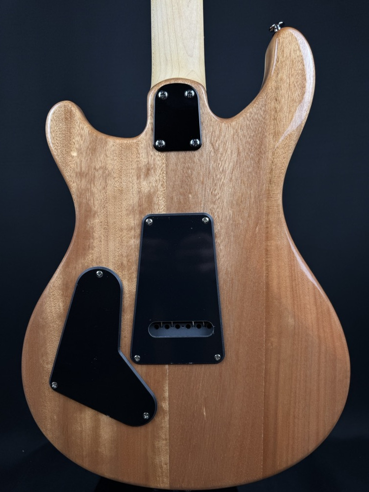 PRS PRS SE CE 24 - Slate Blue, Rosewood, Gig Bag - Guitars