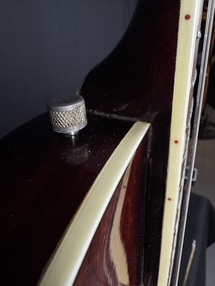 Gretsch USED Gretsch 6119 Mid 60's Chet Atkins Tenessean Walnut w/OHSC - Used