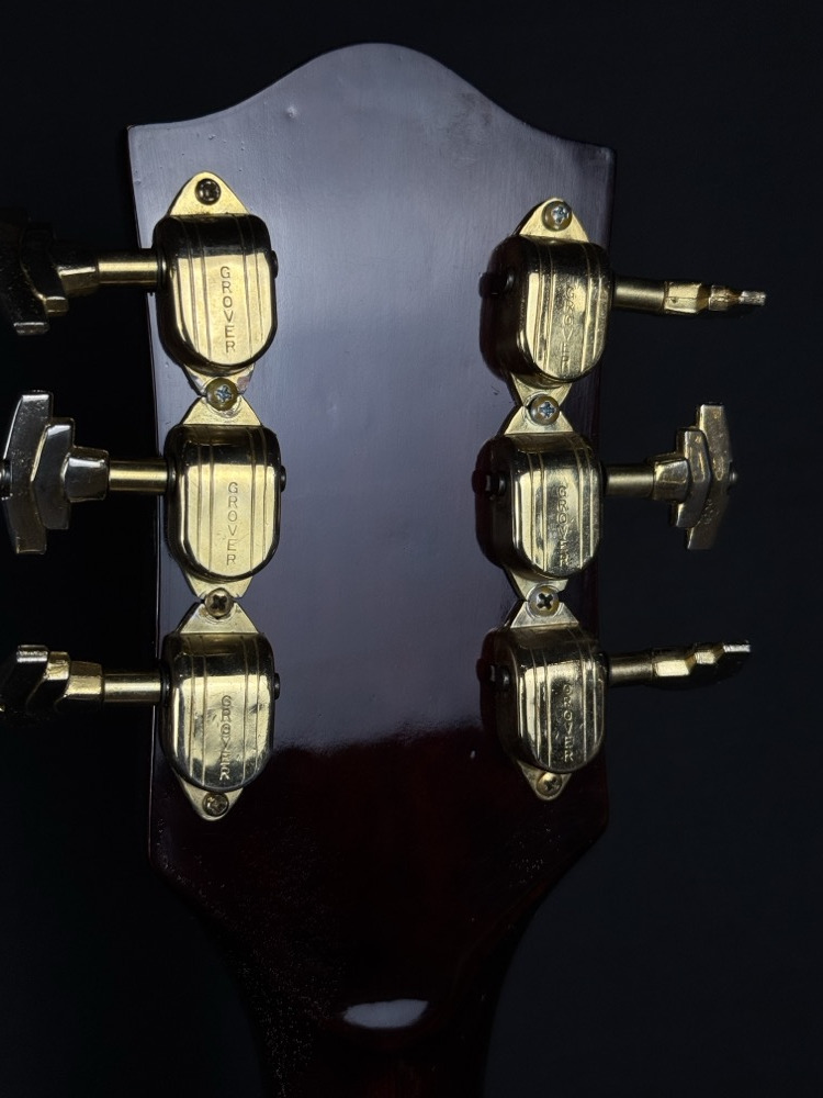 Gretsch USED Gretsch 6119 Mid 60's Chet Atkins Tenessean Walnut w/OHSC - Used