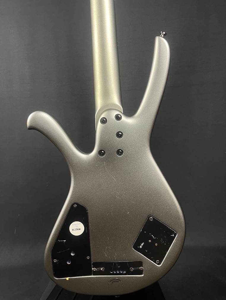 Ibanez USED Ibanez EDA 900 Ergodyne 4 String Bass Flat Silver - Used